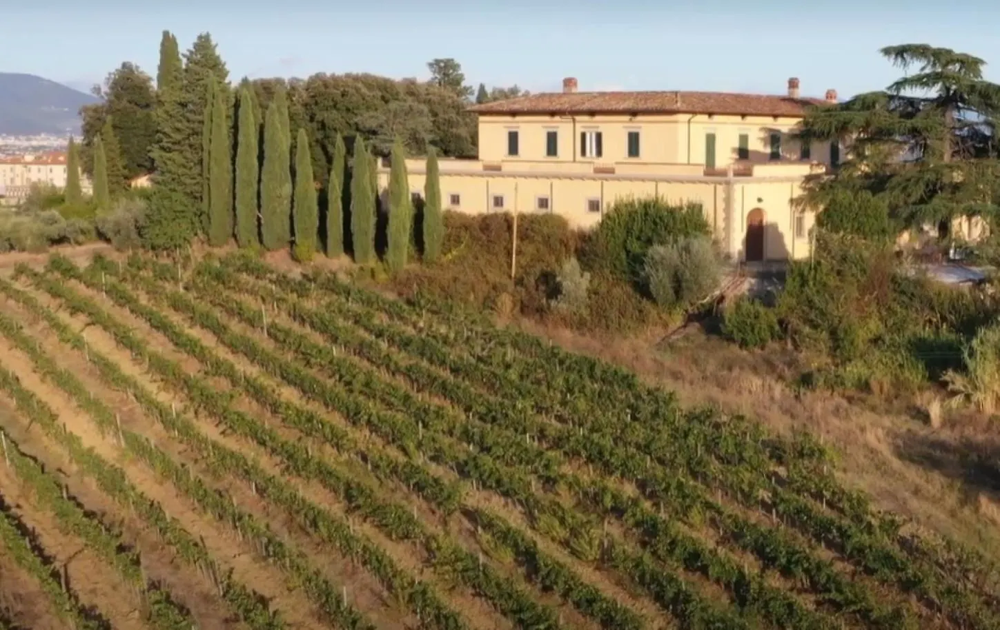 Apartment In Villa Il Castellaccio Poggio a Caiano