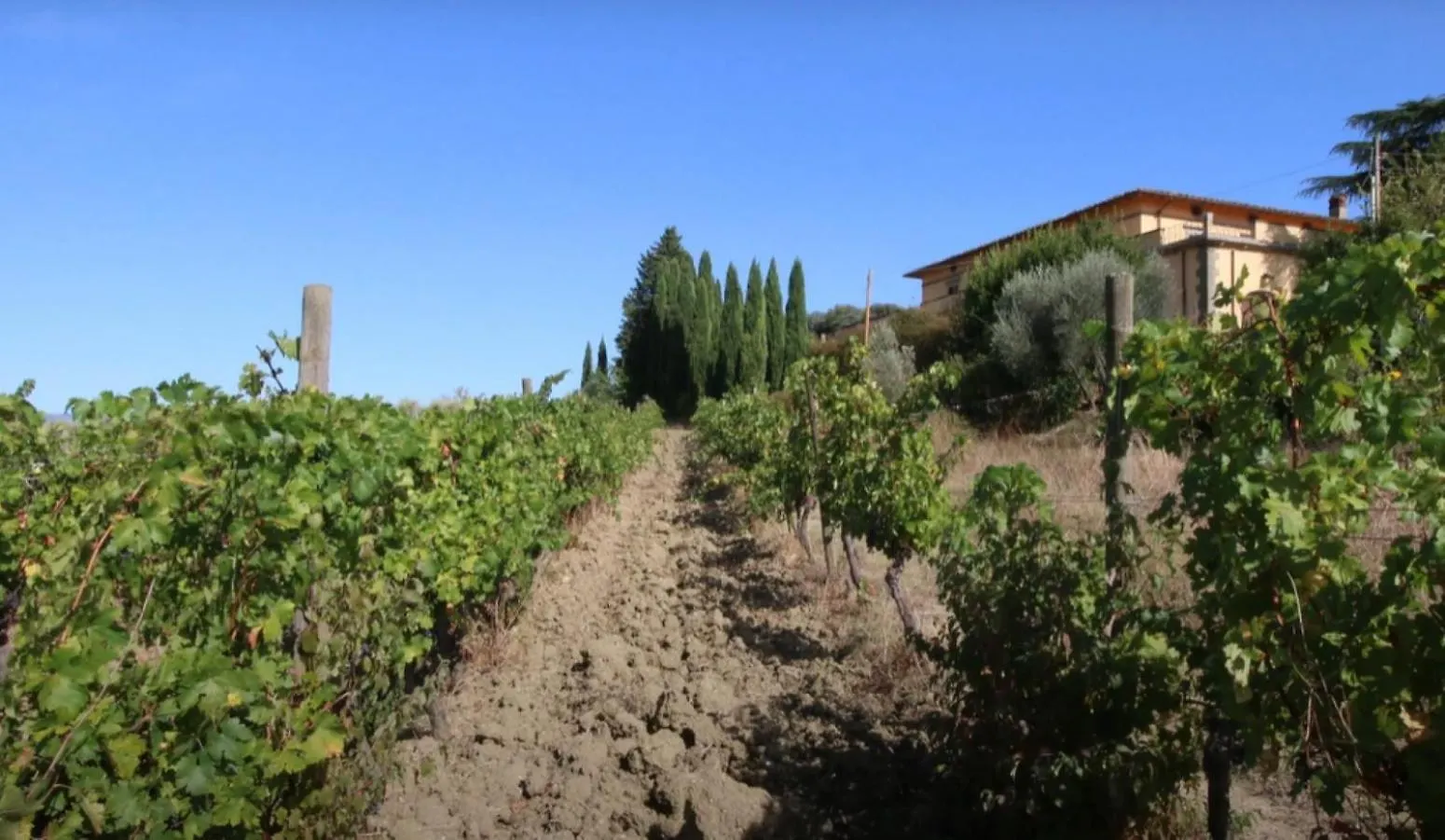 Apartment In Villa Il Castellaccio Poggio a Caiano Holiday home
