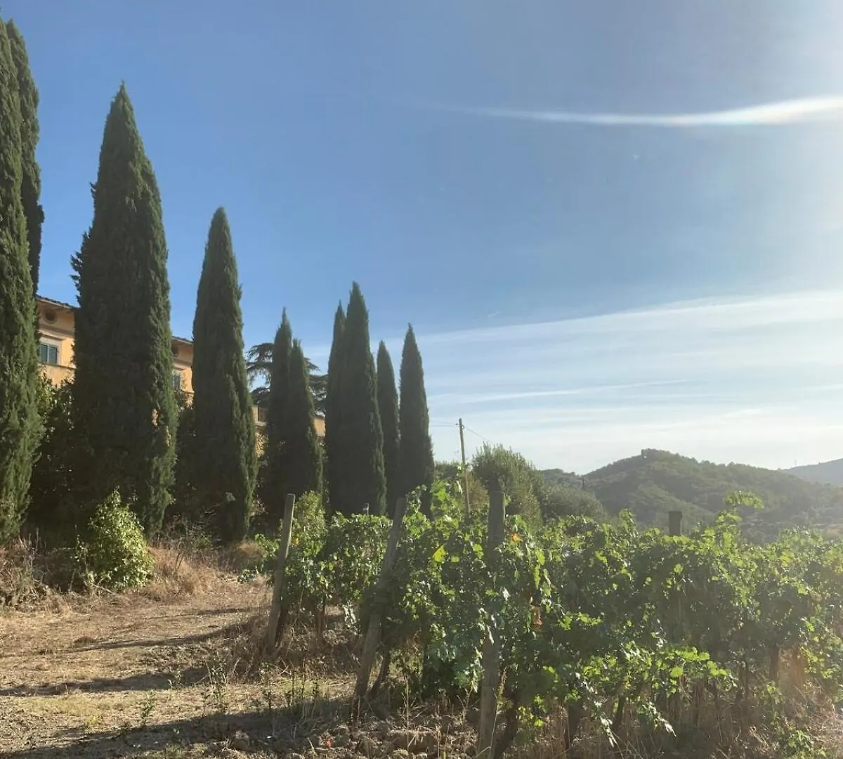Holiday home Apartment In Villa Il Castellaccio Poggio a Caiano Italy