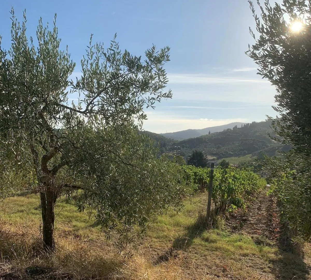 Holiday home Apartment In Villa Il Castellaccio Poggio a Caiano