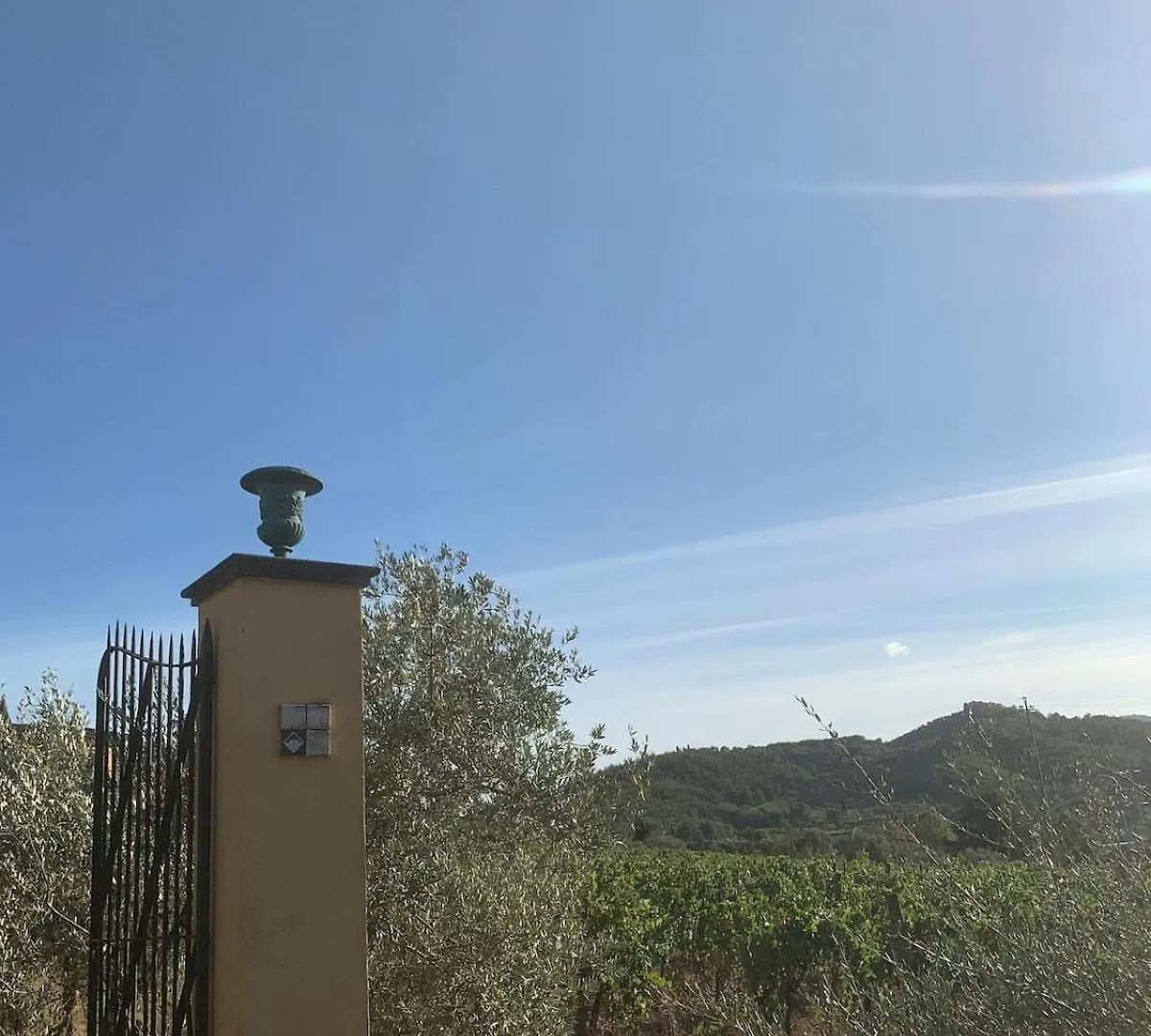 Apartment In Villa Il Castellaccio Poggio a Caiano 0*,